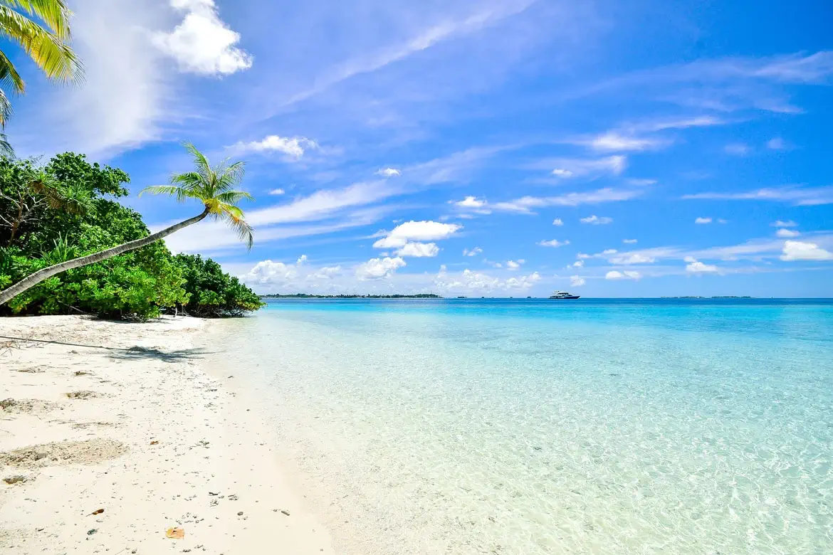 a tropical beach with white sand and blue water