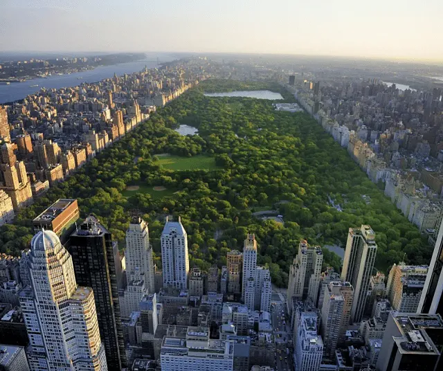 overlooking central park 