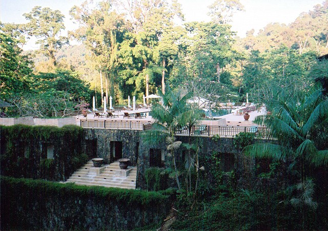 the top pool amongst the trees