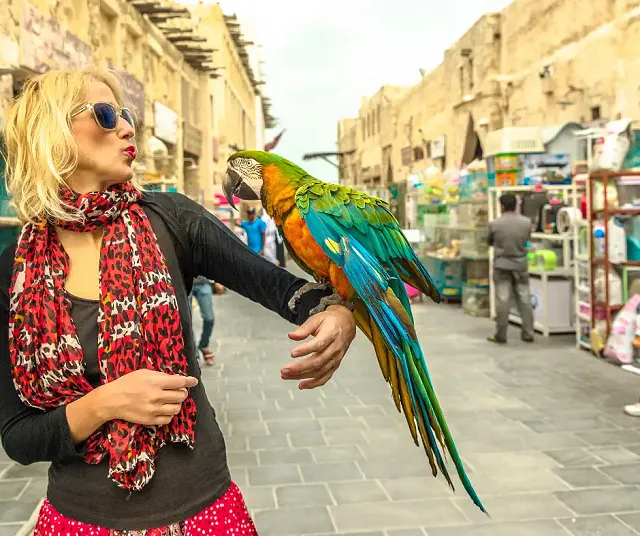 A woman holding a parrot in the Souq Wafiq, Doha 