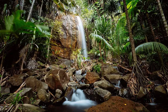 a waterfall in Vallee De Mai forest