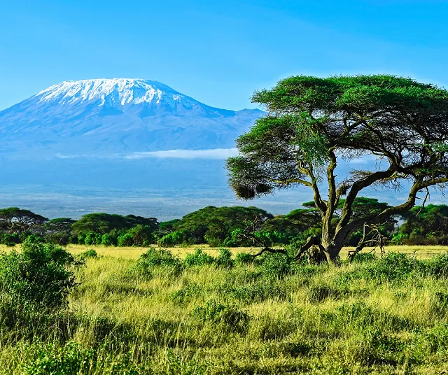 looking across some plains at Mount Kilimanjaro