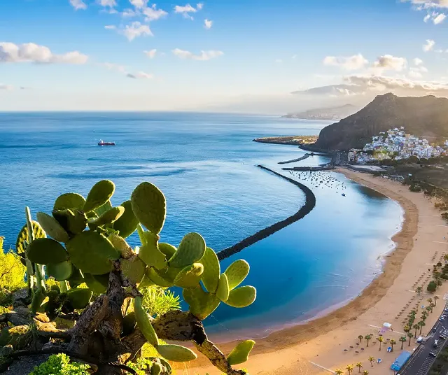 a beachfront in Tenerife